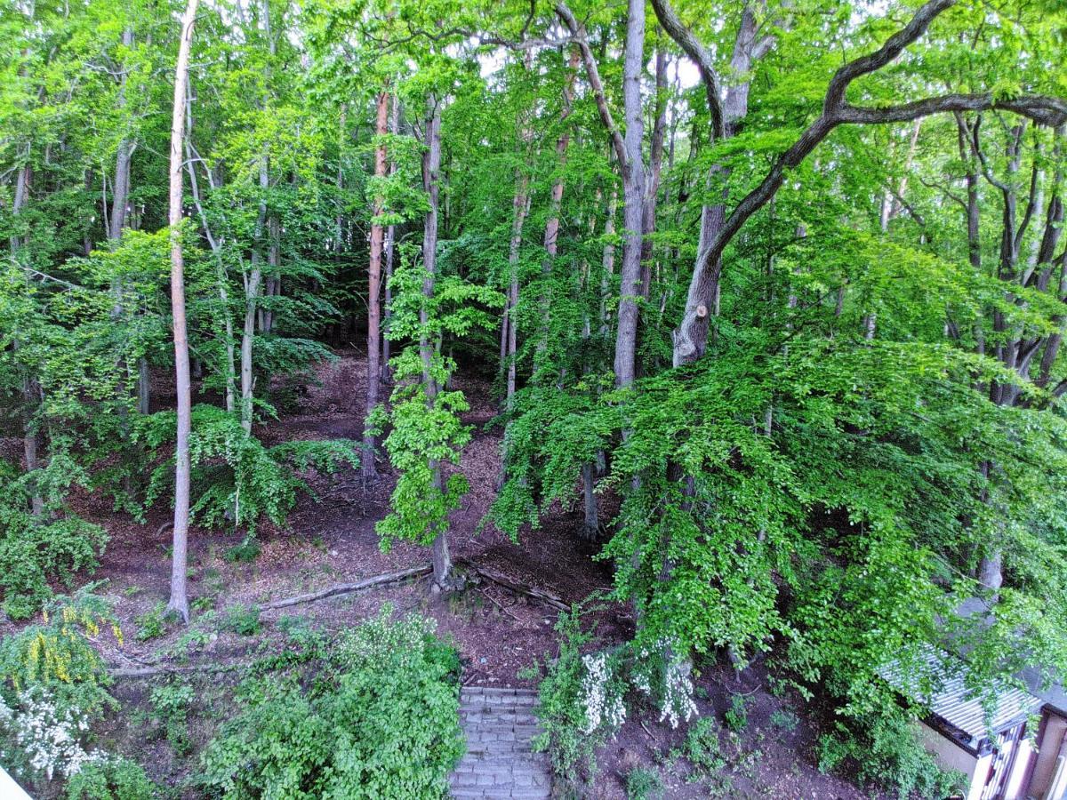 "Near The Forest" Apartment Sopot Bagian luar foto